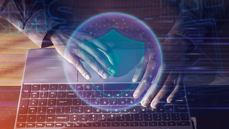 Personal Data Protection Law -    || SBR Industrial Doors